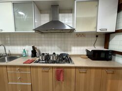 The Eden At Tampines (D18), Condominium #504408911